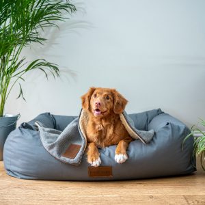 Cozy Orthopedic Pet Bed
