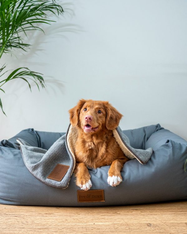 Cozy Orthopedic Pet Bed